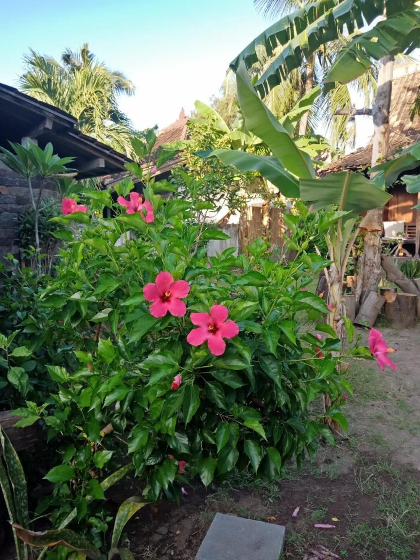 Blu D'Amare Hotel Gili Trawangan Kültér fotó